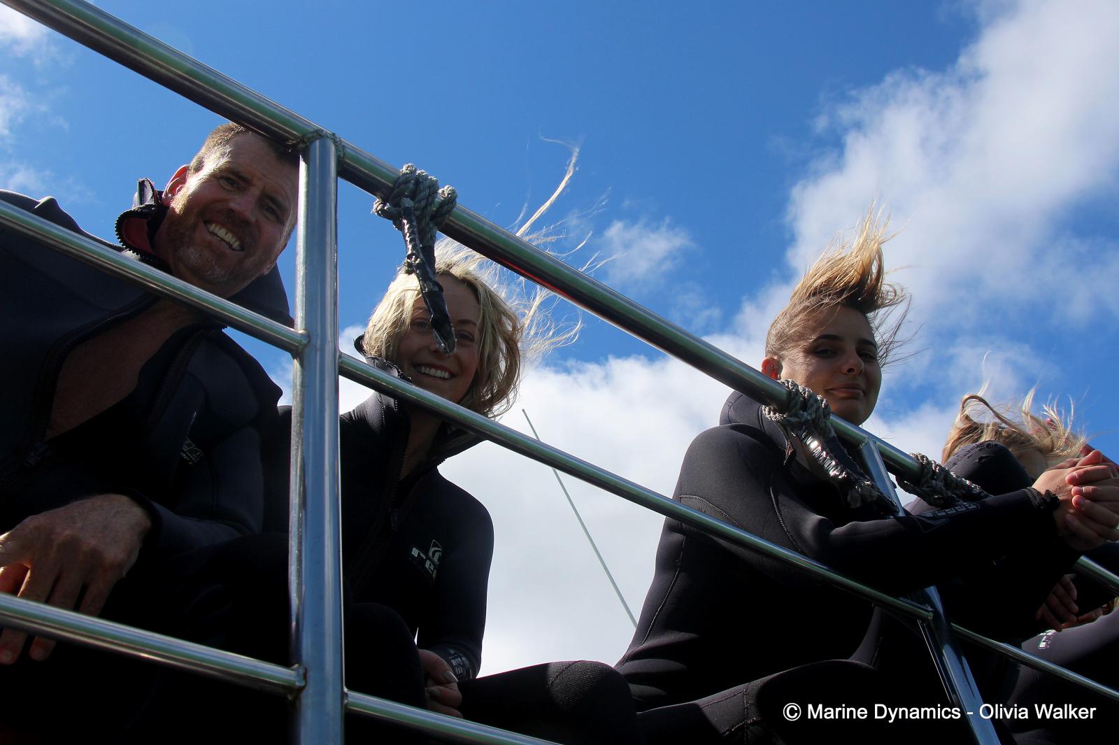 Shark Cage Diving