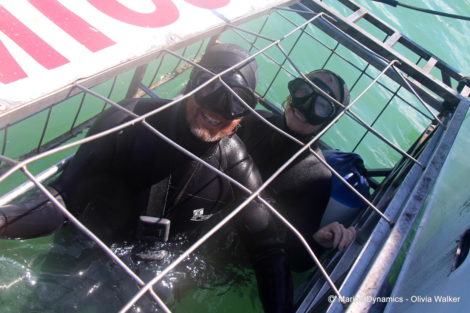 Shark cage diving