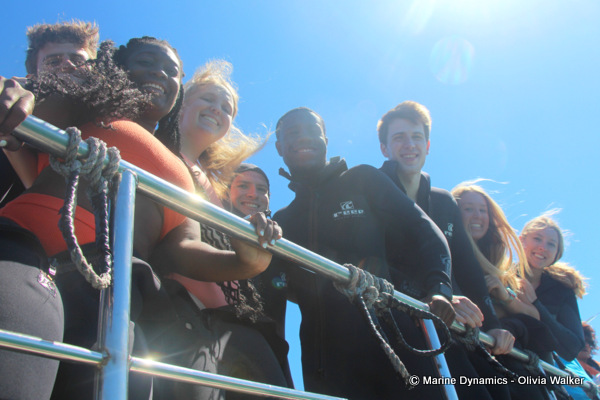 shark cage diving, South Africa