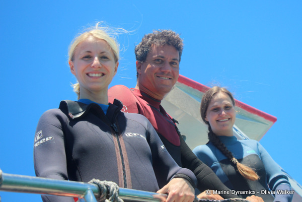 shark cage diving, South Africa