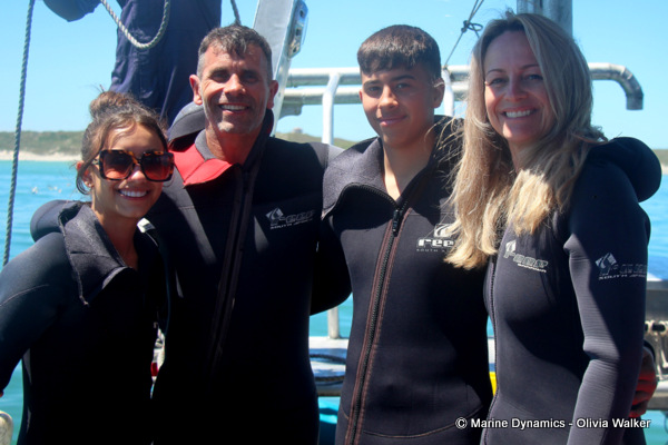 shark cage diving, South Africa