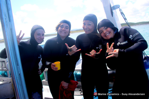 shark cage diving, South Africa