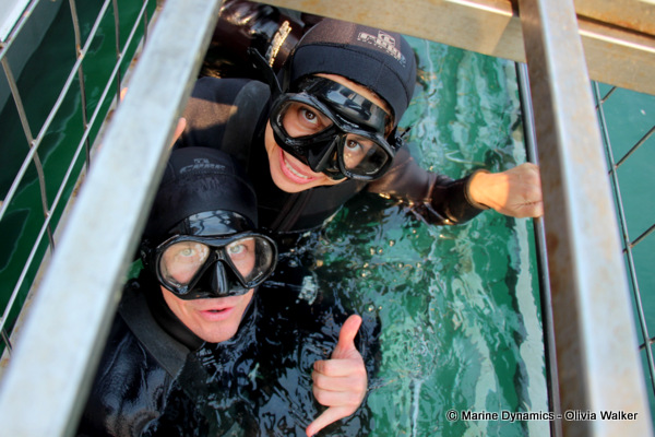 shark cage diving, South Africa