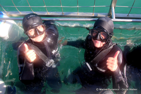 shark cage diving, South Africa