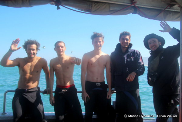 shark cage diving, South Africa