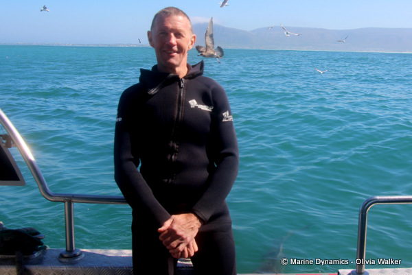 shark cage diving, South Africa