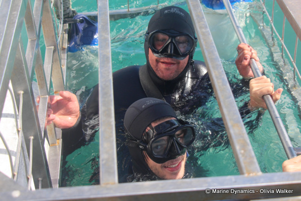 shark cage diving, South Africa