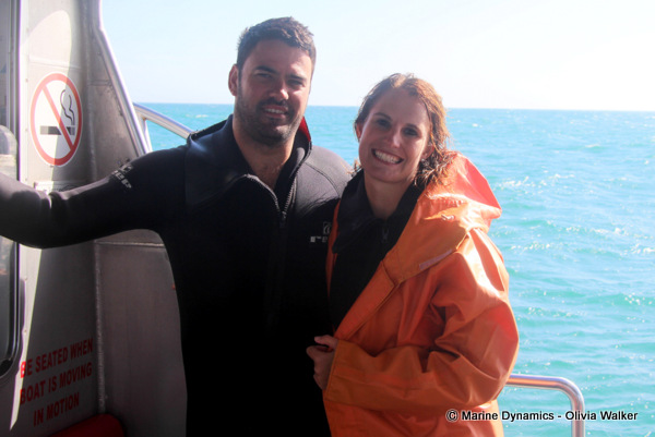 shark cage diving, South Africa