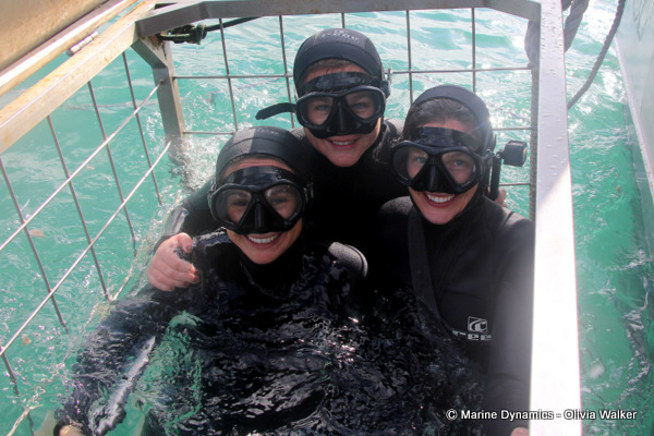 shark cage diving, South Africa