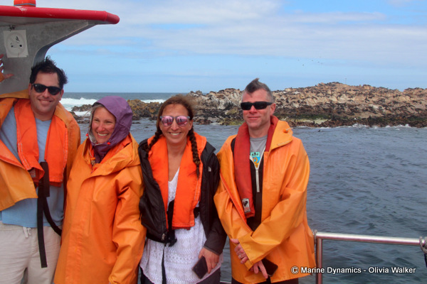 shark cage diving, South Africa