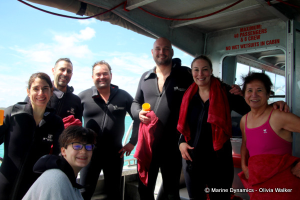 Shark Cage Diving, South Africa