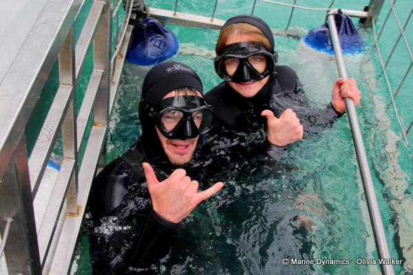 shark cage diving, South Africa