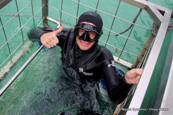 Shark Cage Diving, South Africa
