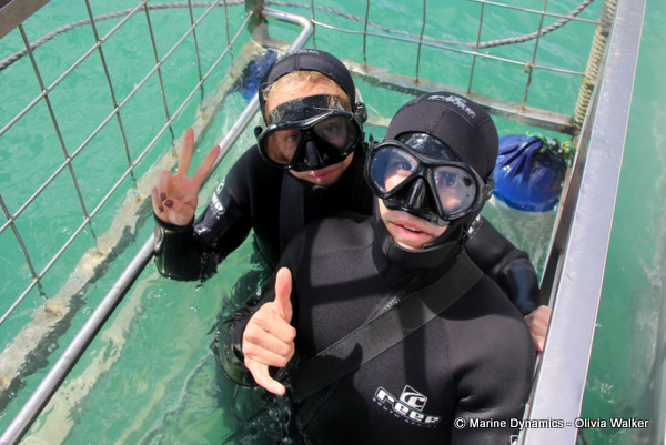 Shark Cage Diving, South Africa