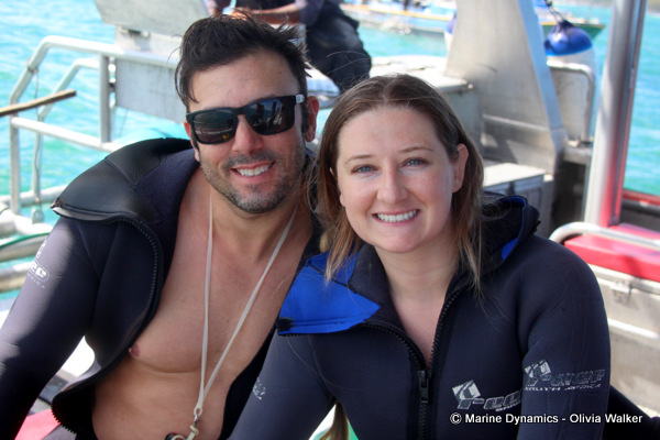 shark cage diving< South Africa