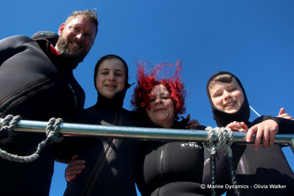 shark cage diving, South Africa