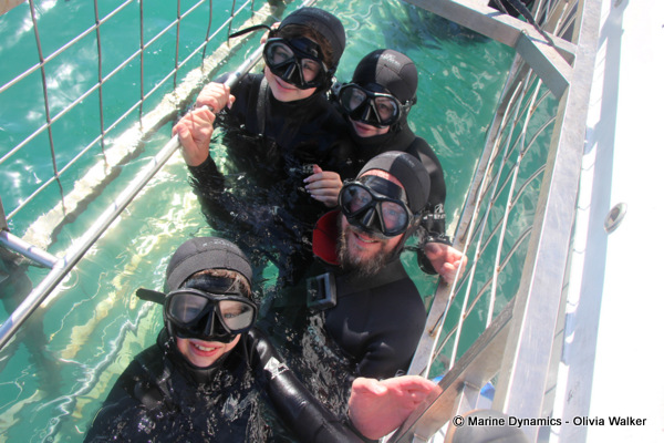 shark cage diving, South Africa