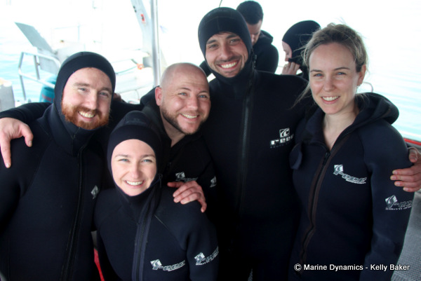Shark cage diving Gansbaai South Africa