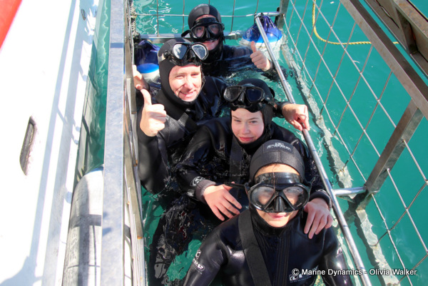 shark cage diving, South Africa