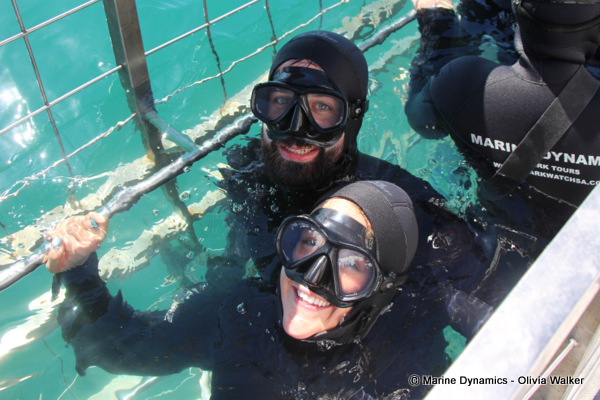 shark cage diving, South Africa