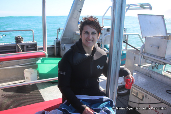 Shark cage diving