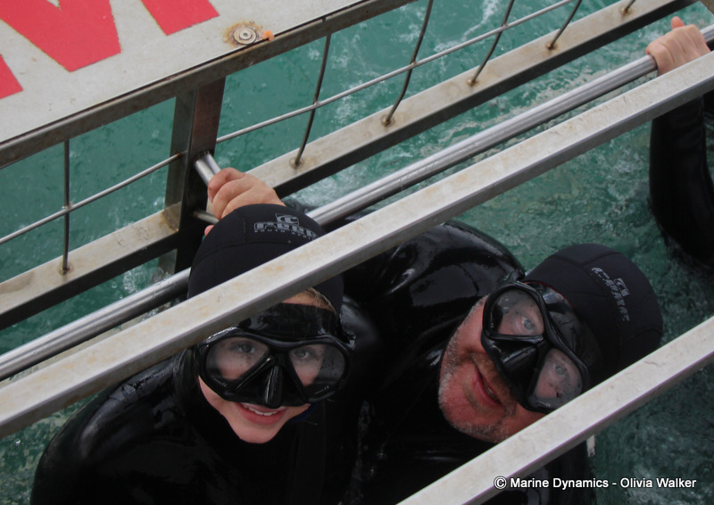Shark cage Diving, South Africa