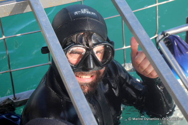shark cage diving, South Africa