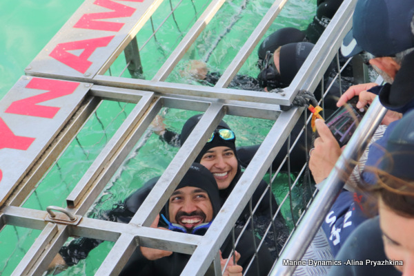 Shark cage diving