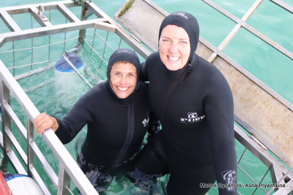 Shark cage diving, Gansbaai, South Africa