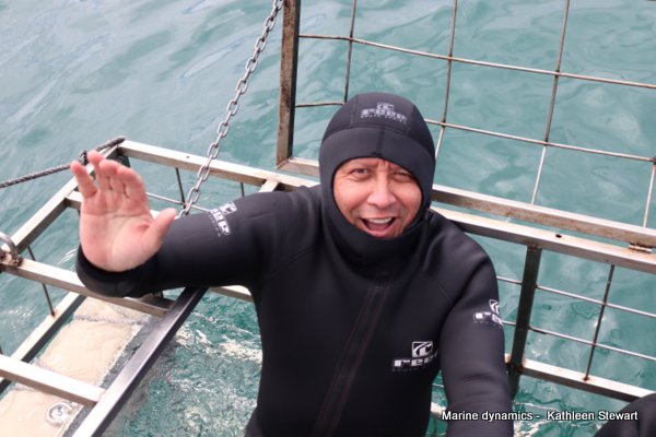 Shark cage diving, South Africa