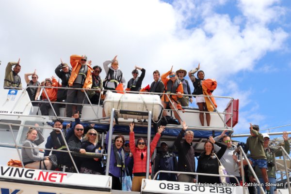 Shark cage diving, South Africa