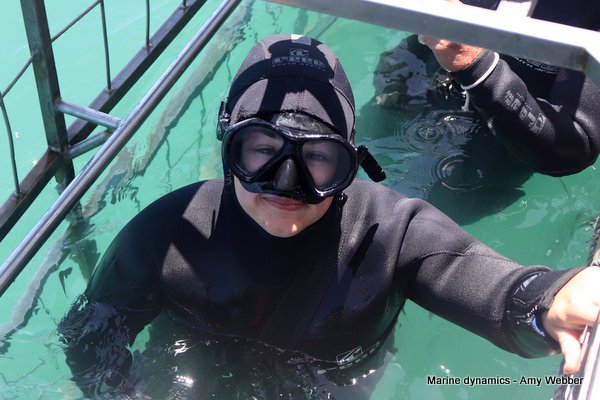 Shark cage diving, South Africa