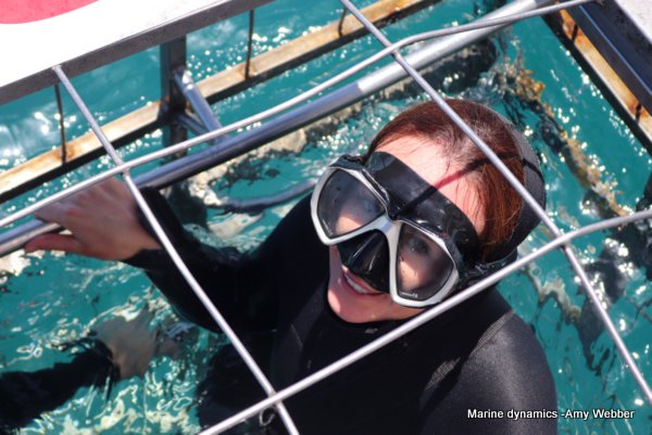 Shark Cage Diving, South Africa