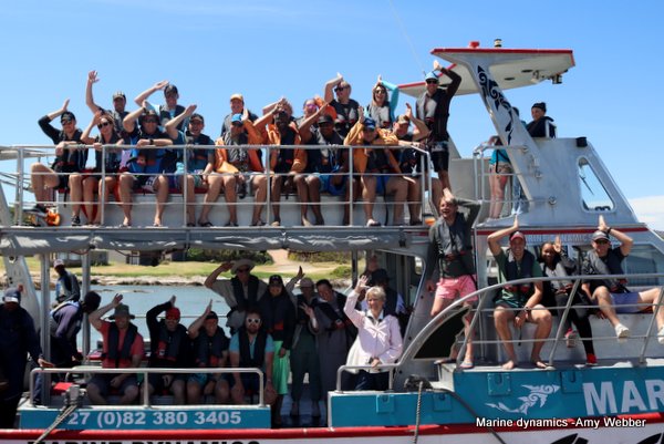 Shark Cage Diving, South Africa
