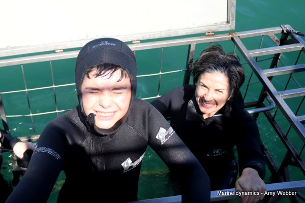 Shark Cage Diving, South Africa