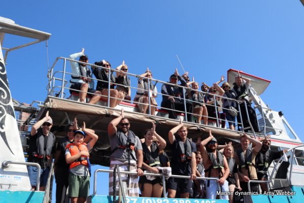 Shark Cage Diving, South Africa