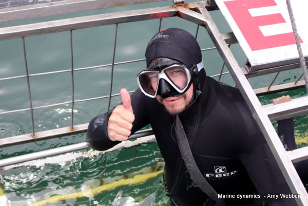 Shark Cage Diving, South Africa