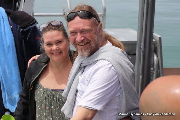 Shark cage diving, Gansbaai, Western Cape