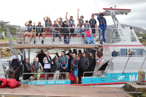 Shark cage diving, Gansbaai, Western Cape