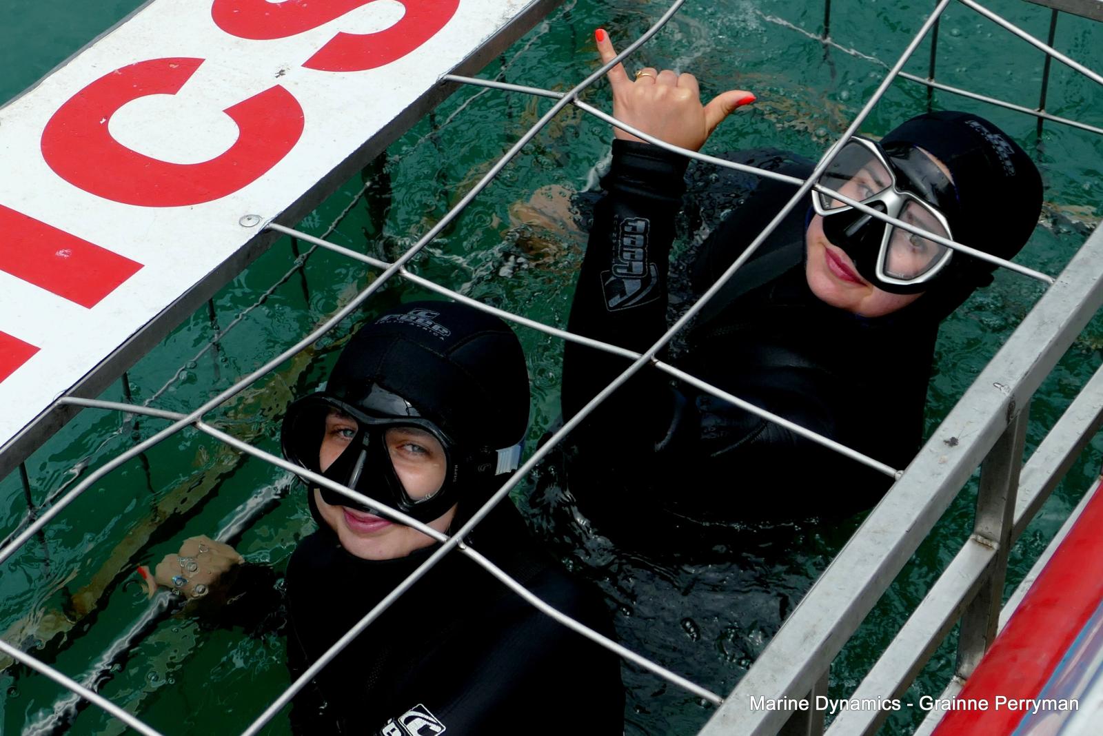 Shark cage diving, Gansbaai, Western Cape