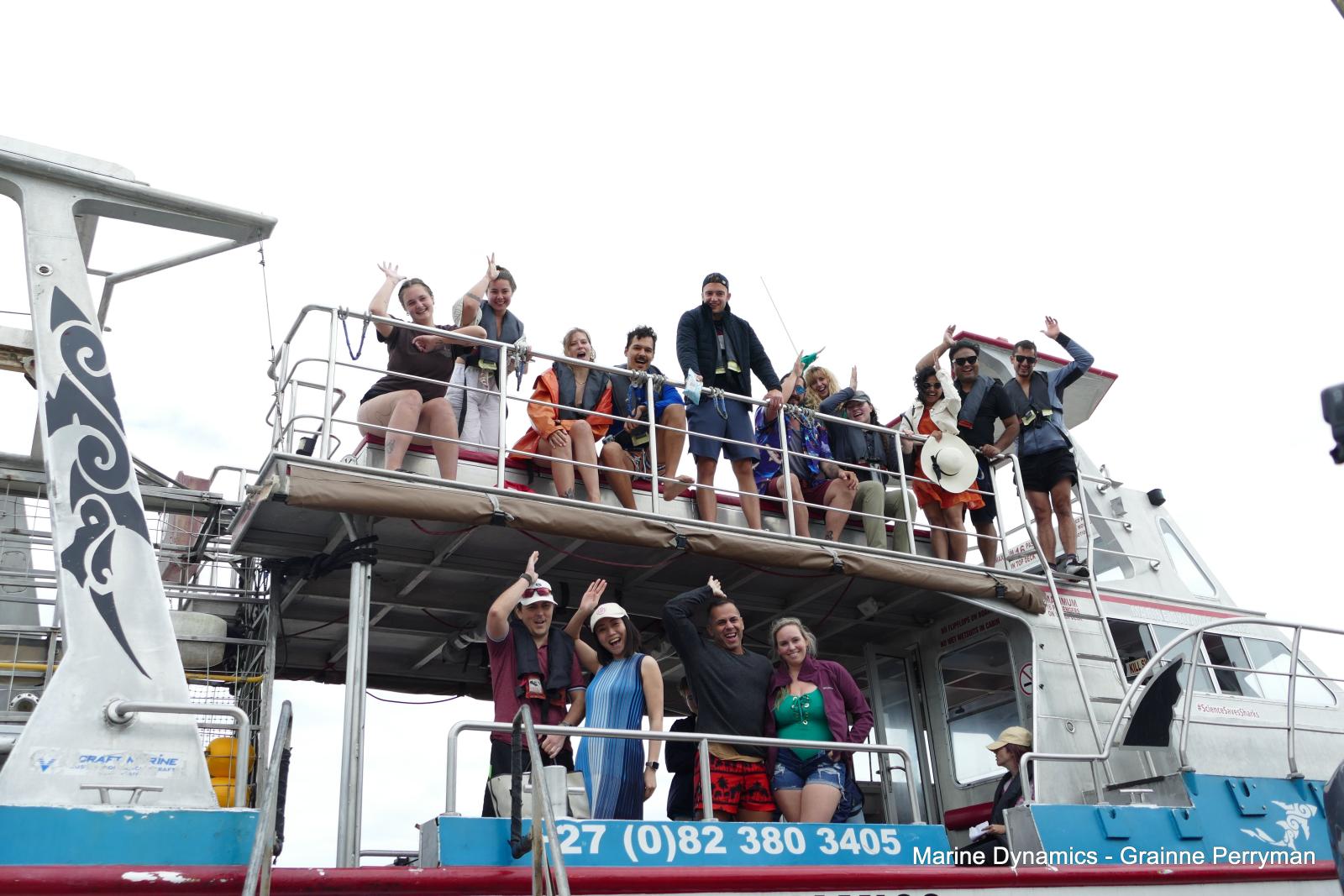 Shark cage diving, Gansbaai, Western Cape