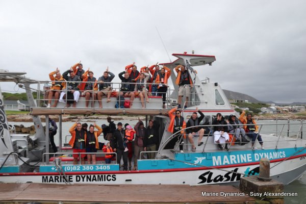 Shark Cage Diving, South Africa