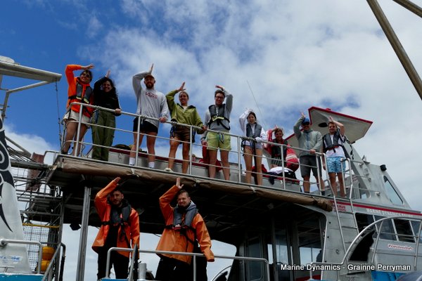 Shark Cage Diving, South Africa
