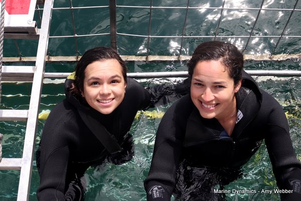 Shark Cage Diving, South Africa