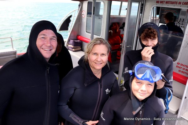 Shark Cage Diving, South Africa