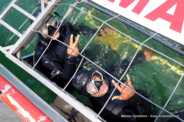 Shark Cage Diving, South Africa