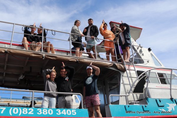 Shark Cage Diving, South Africa