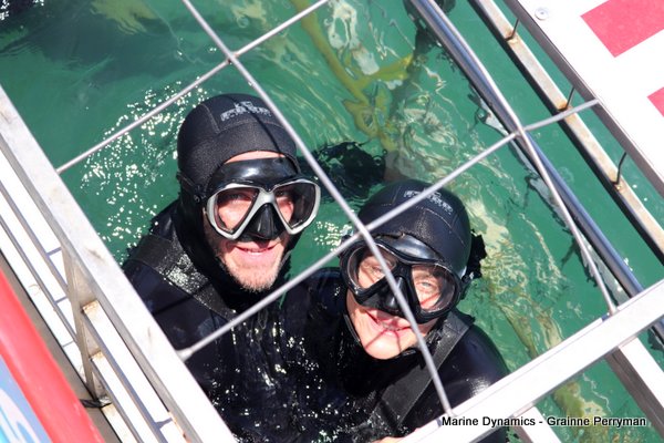 Shark Cage Diving, South Africa
