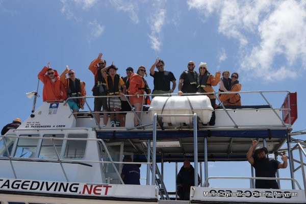 Shark Cage Diving, South Africa