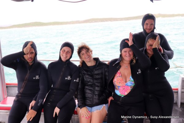 Shark cage diving, Gansbaai, Western Cape